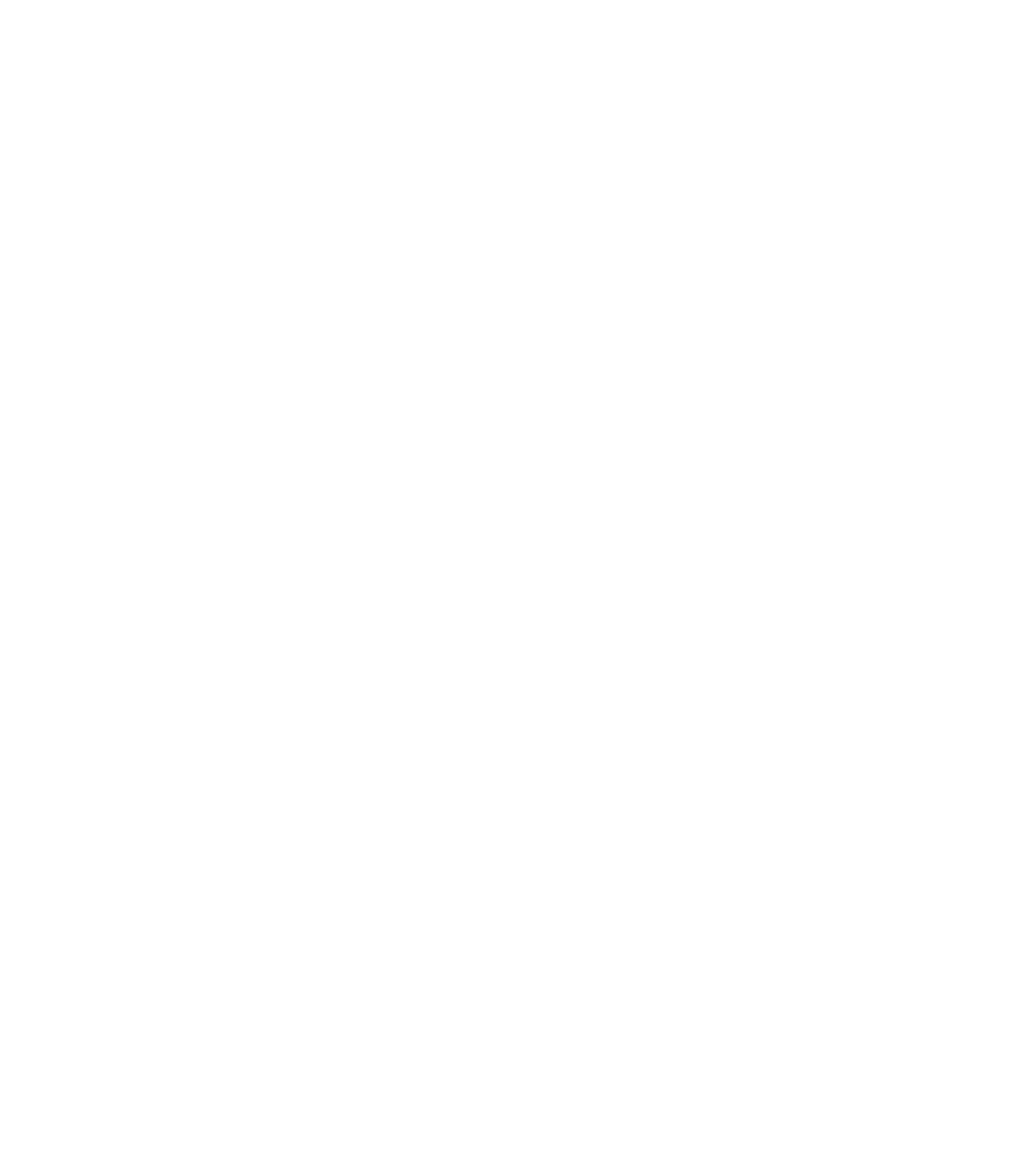 Ship4Trip Logo
